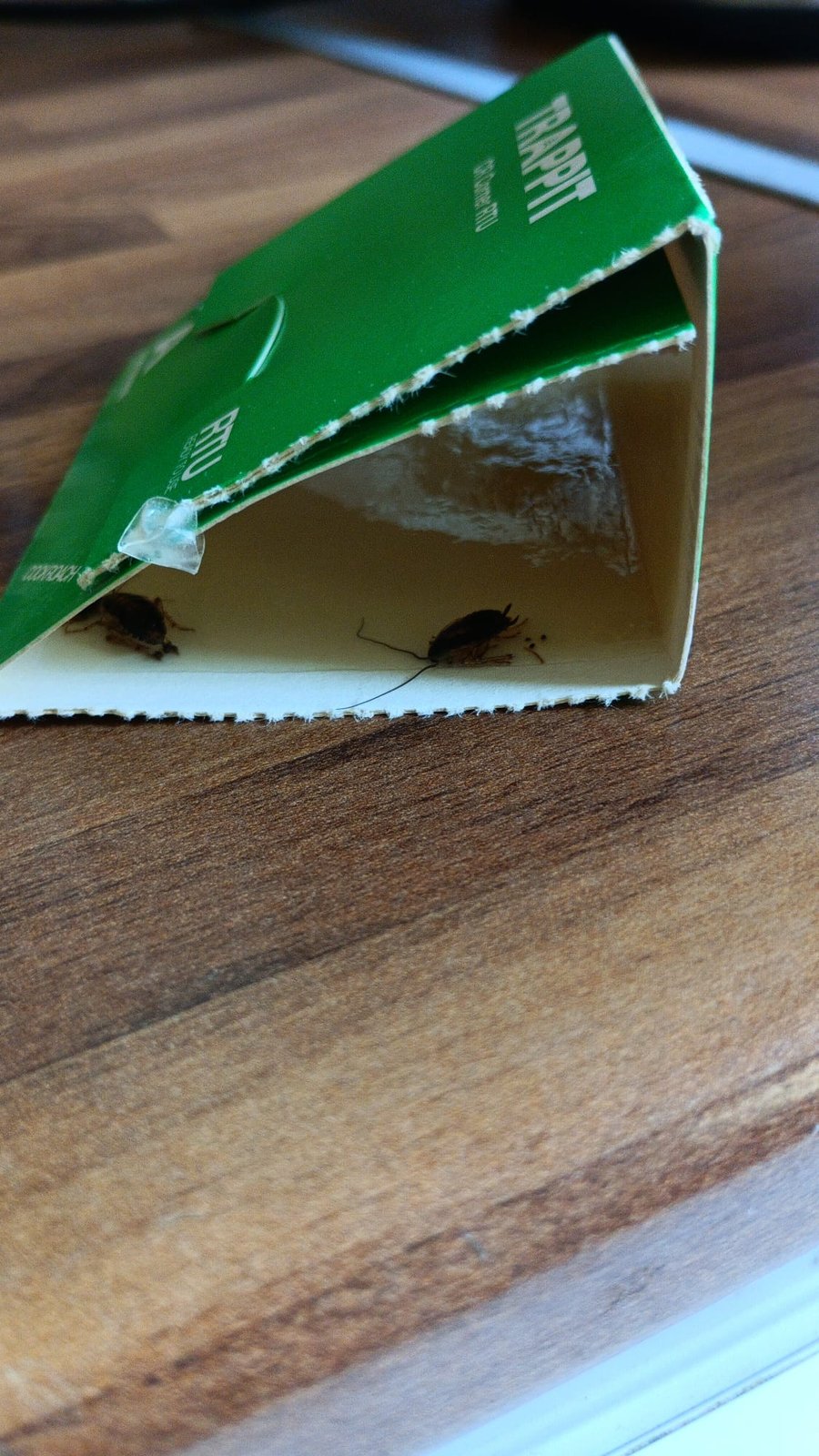 Équipement professionnel pour la détection et l'élimination des punaises de lit.