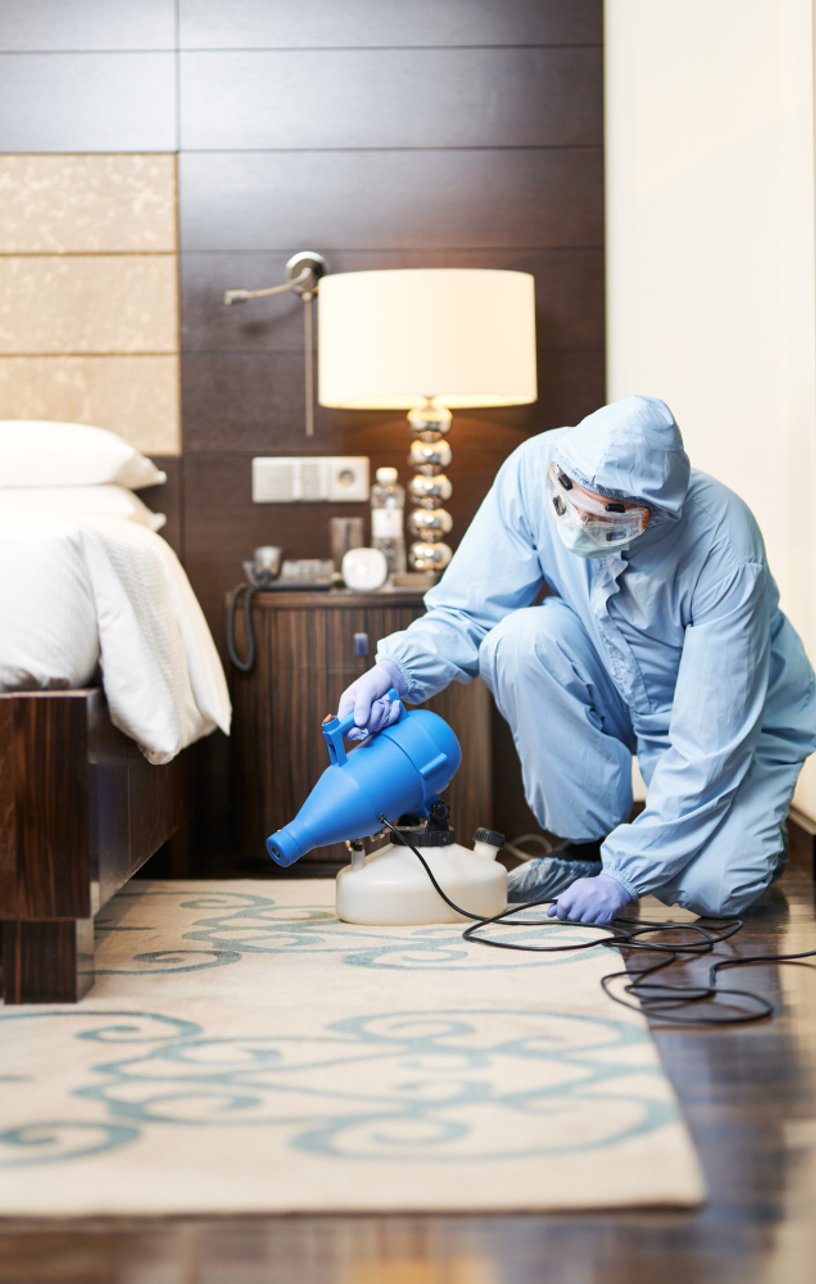 Désinfection professionnelle Valdurenque