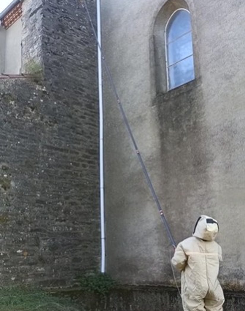 Destruction de nid de frelons dans une église du Tarn