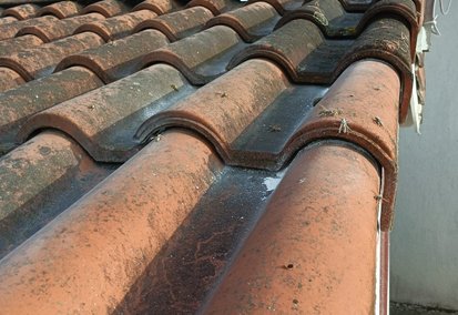 Christophe-Guerin-3D-services-anti-nuisible-a-Mazamet-Premiere-destruction-de-nid-de-guepes-de-lannee-1