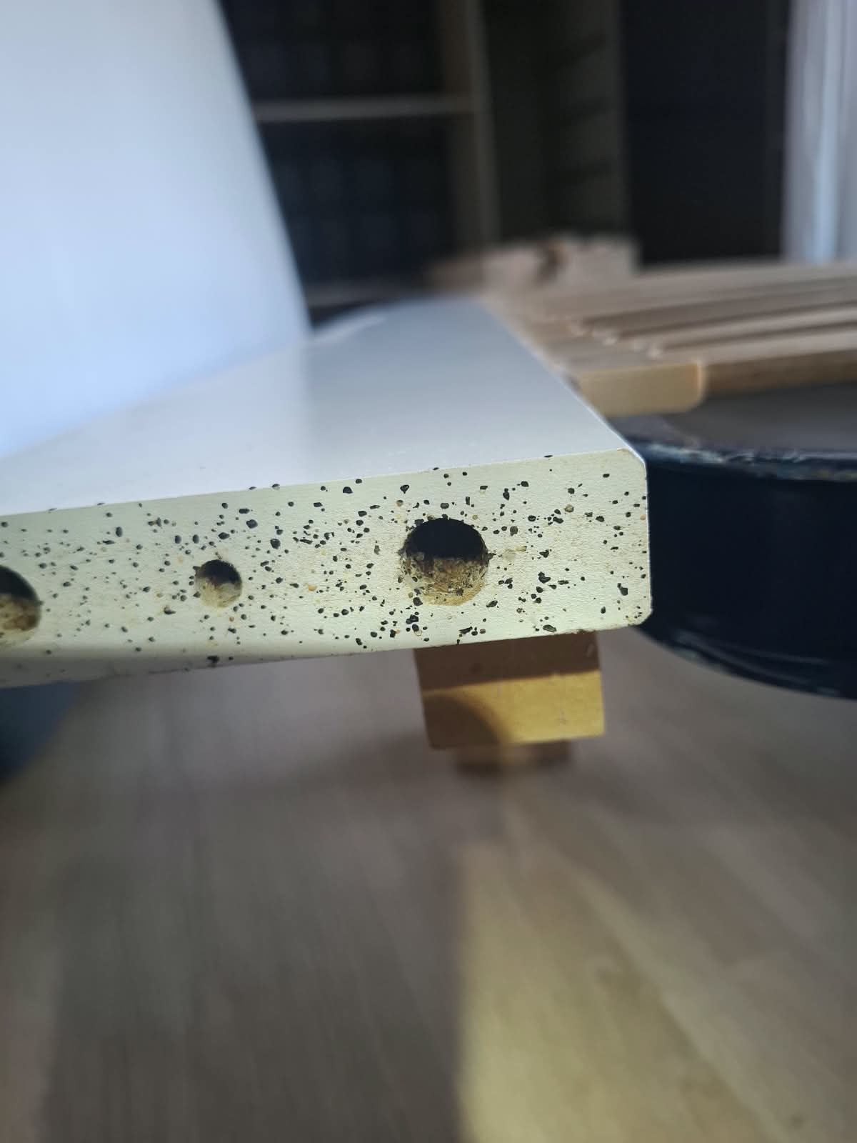 Infestation de punaises de lit dans un logement à Fontalba, Aiguefonde