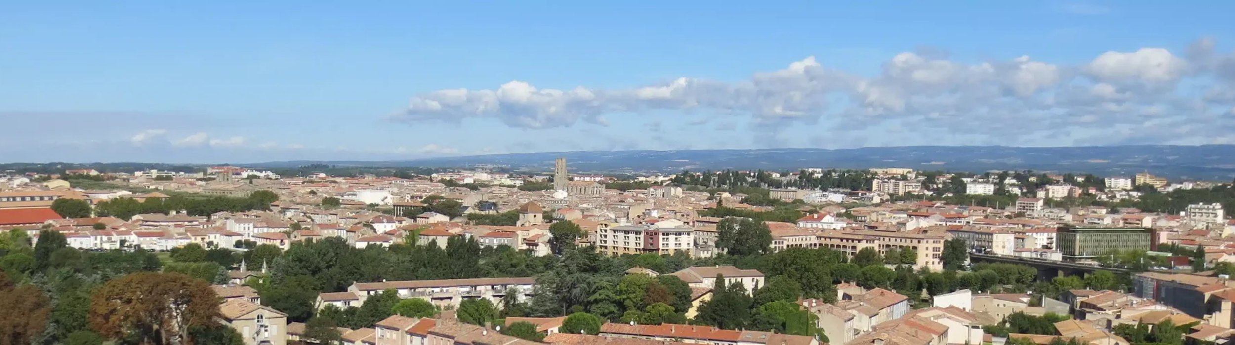 Service anti-nuisible Carcassonne