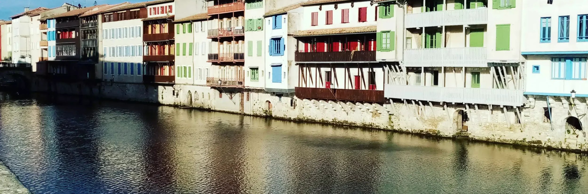 Service anti-nuisible Castres