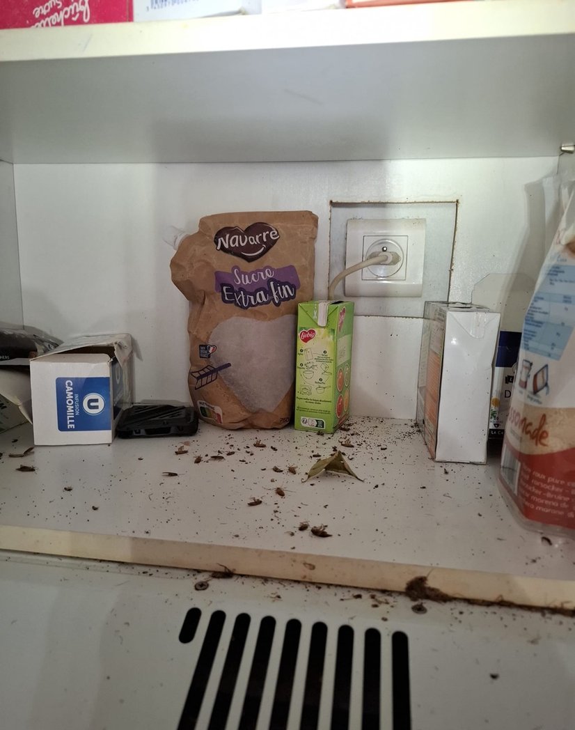 Après première intervention de Christophe Guérin 3D, on constat des blattes mortes dans la cuisine.