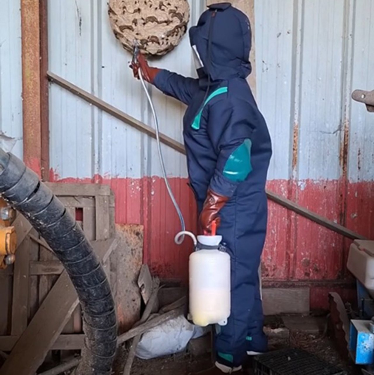 Désinsectisation Valdurenque