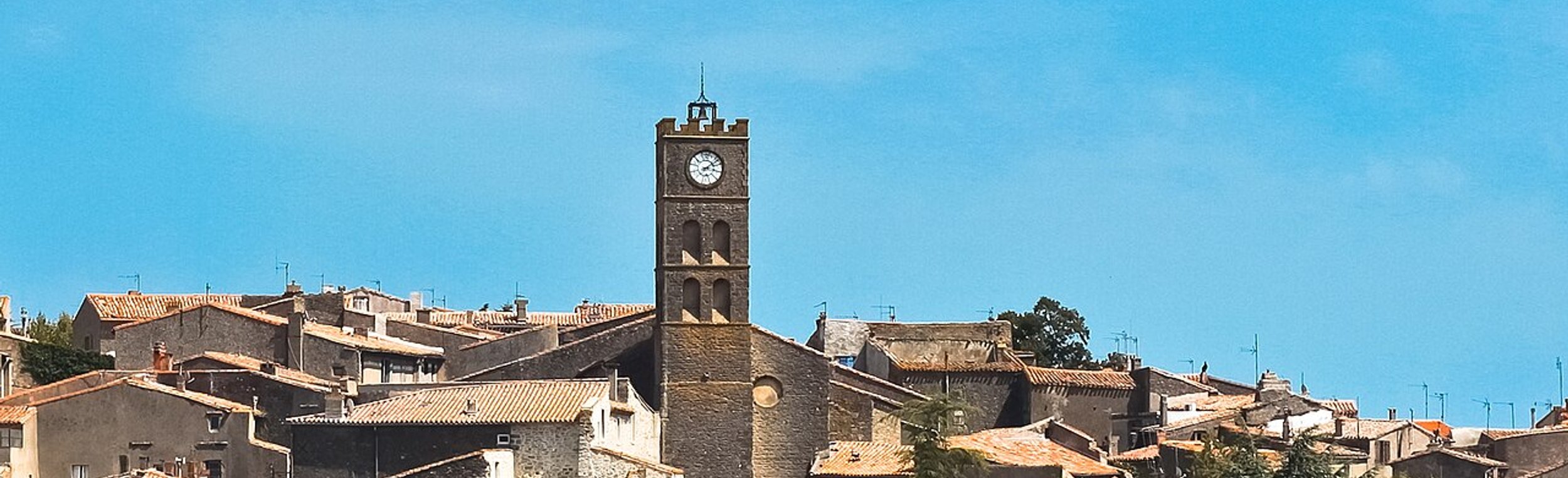 Service anti-nuisible à Conques-sur-Orbiel