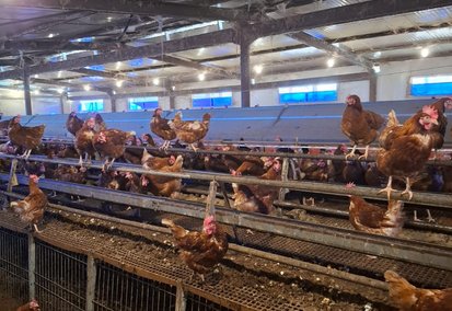 Christophe Guérin 3D - Service anti-nuisible - contrat anti nuisible Castres - Mazamet