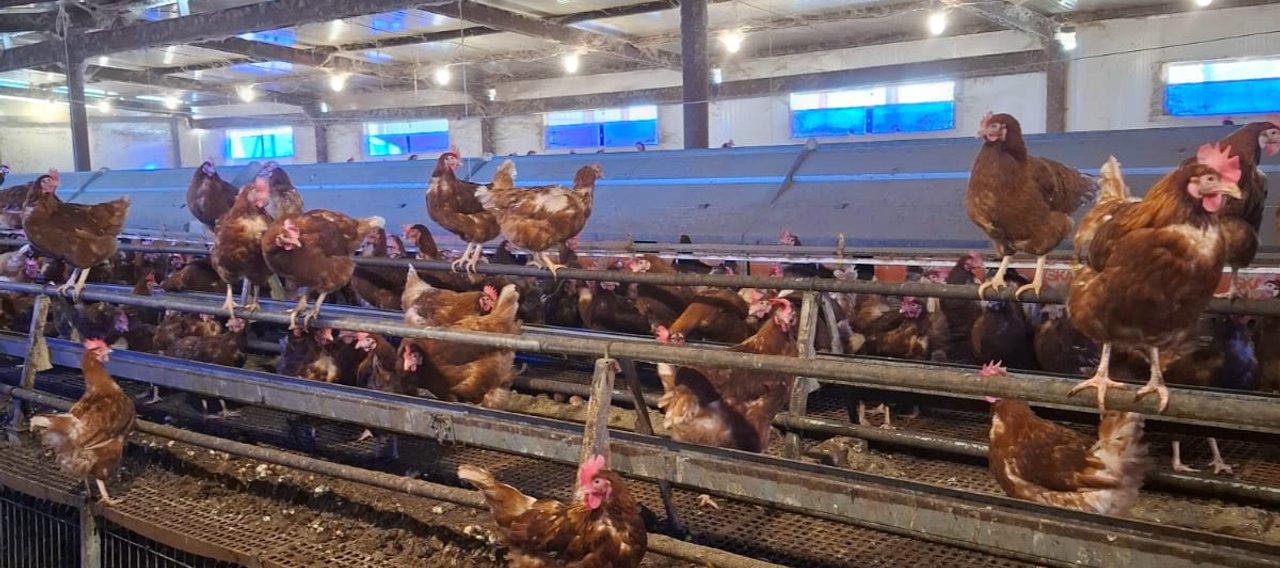 Christophe Guérin 3D - Service anti-nuisible - contrat anti nuisible Castres - Mazamet