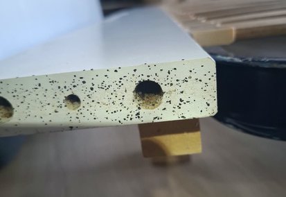 Infestation de punaises de lit constatée dans du mobilier lors d'une intervention à Fontalba, Aiguefonde