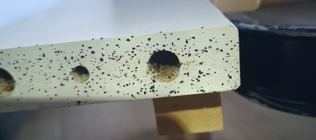 Infestation de punaises de lit constatée dans du mobilier lors d'une intervention à Fontalba, Aiguefonde