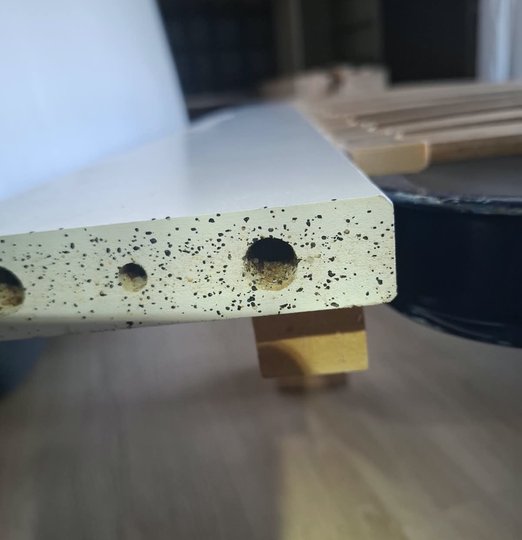 Infestation de punaises de lit constatée dans du mobilier lors d'une intervention à Fontalba, Aiguefonde