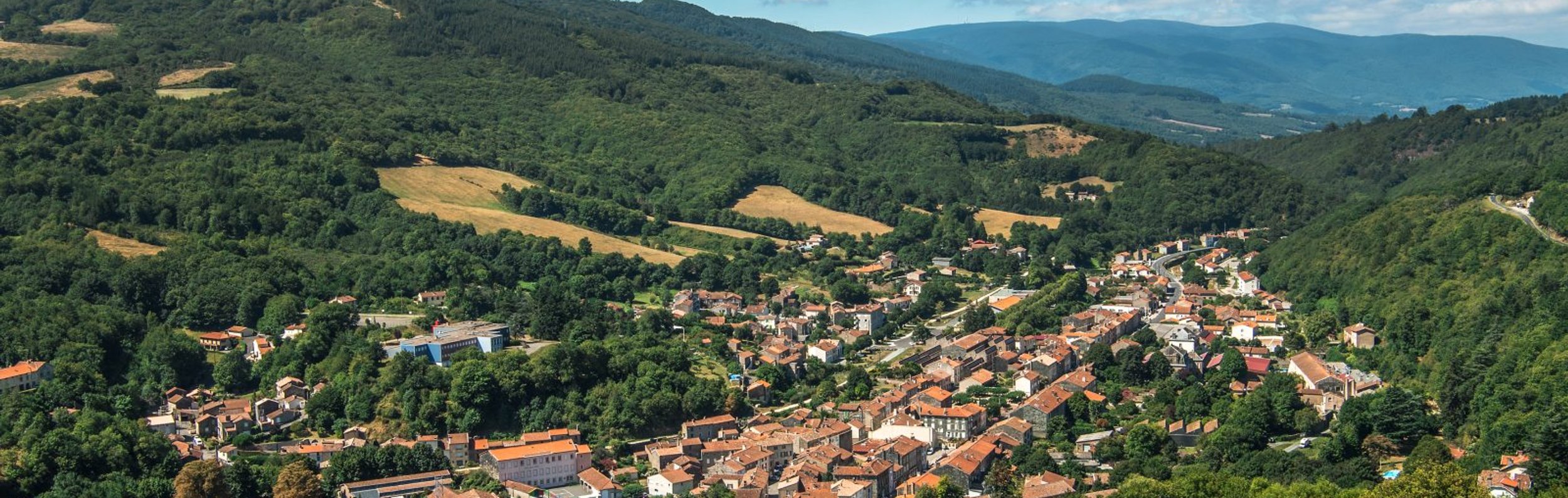 Service anti-nuisible Labastide-Rouairoux