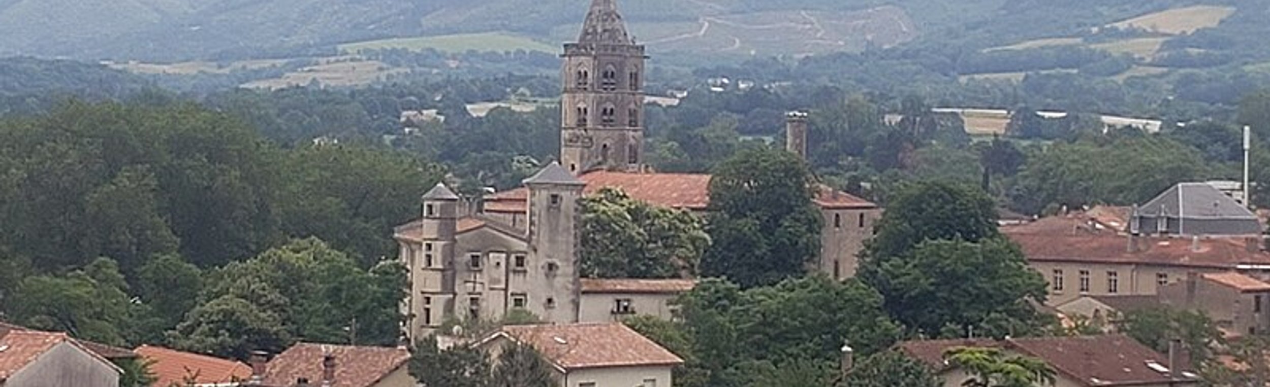 Service anti-nuisible Labruguière