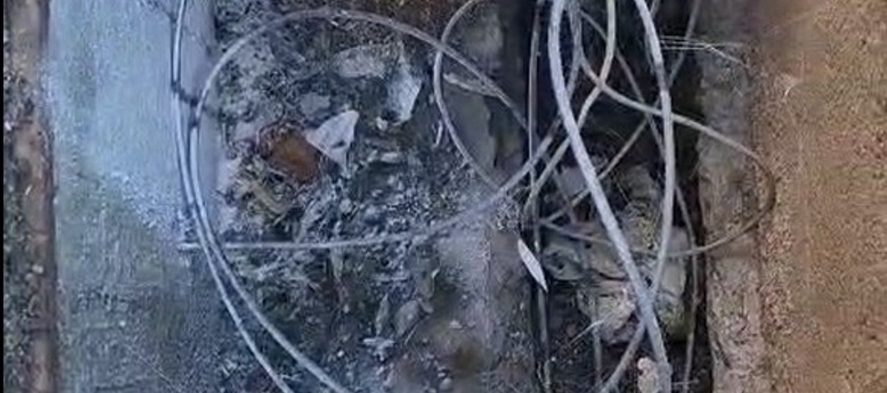 Nid de frelons asiatiques retiré d'une plaque télécom encastrée au sol, Aussillon (81)