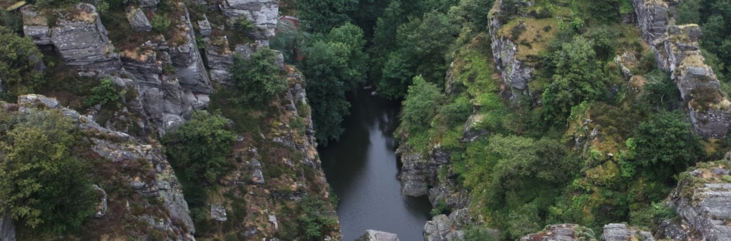 Service anti-nuisible Pont de l'Arn