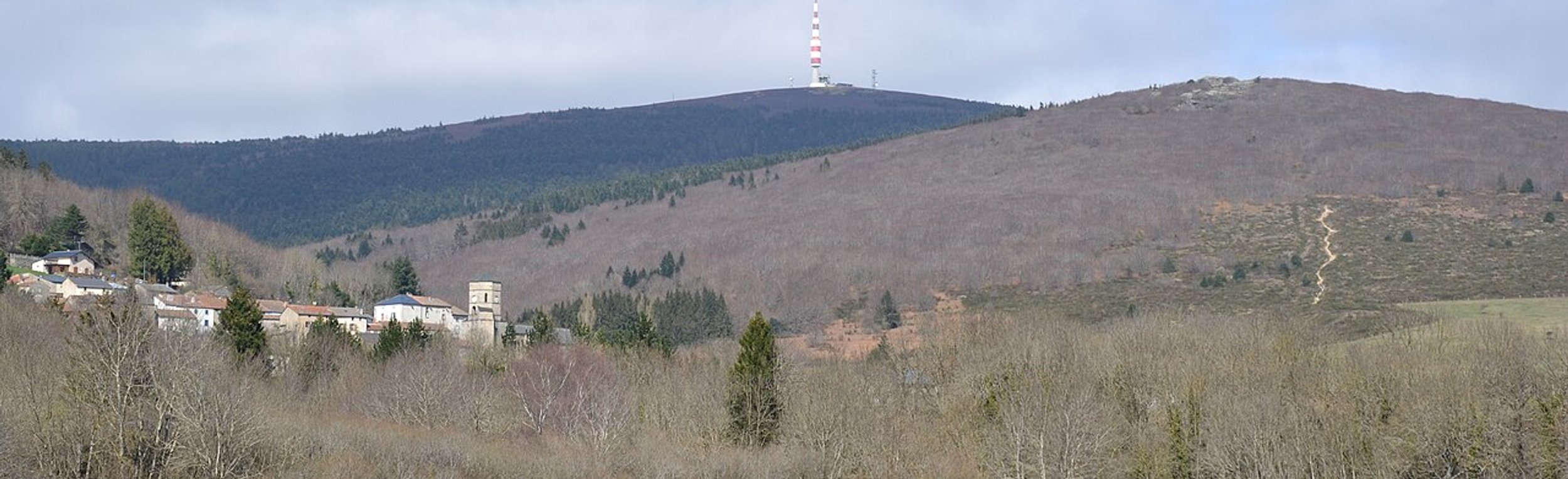 Service anti-nuisible à Pradelles-Cabardès