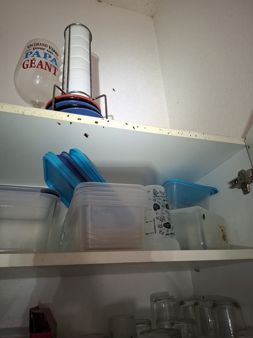 Cuisine infestée de blattes aux Martys - traitement Christophe Guérin 3D