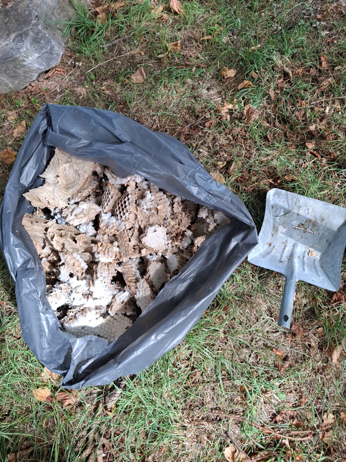 Désinfection professionnelle Pont de l'Arn