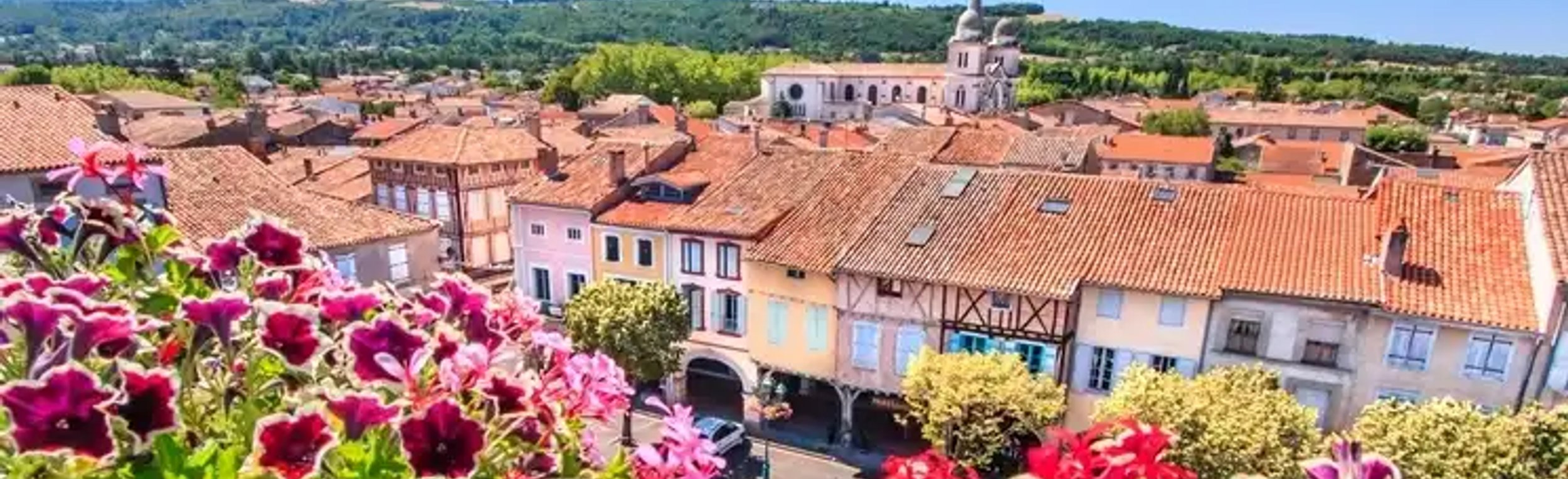 Service anti-nuisible Revel