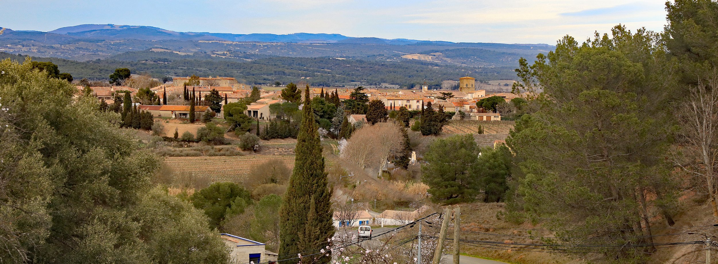 Service anti-nuisible Rieux-Minervois