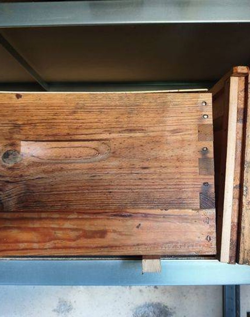 Gros plan sur une ruchette après installation d'un essaim récupéré