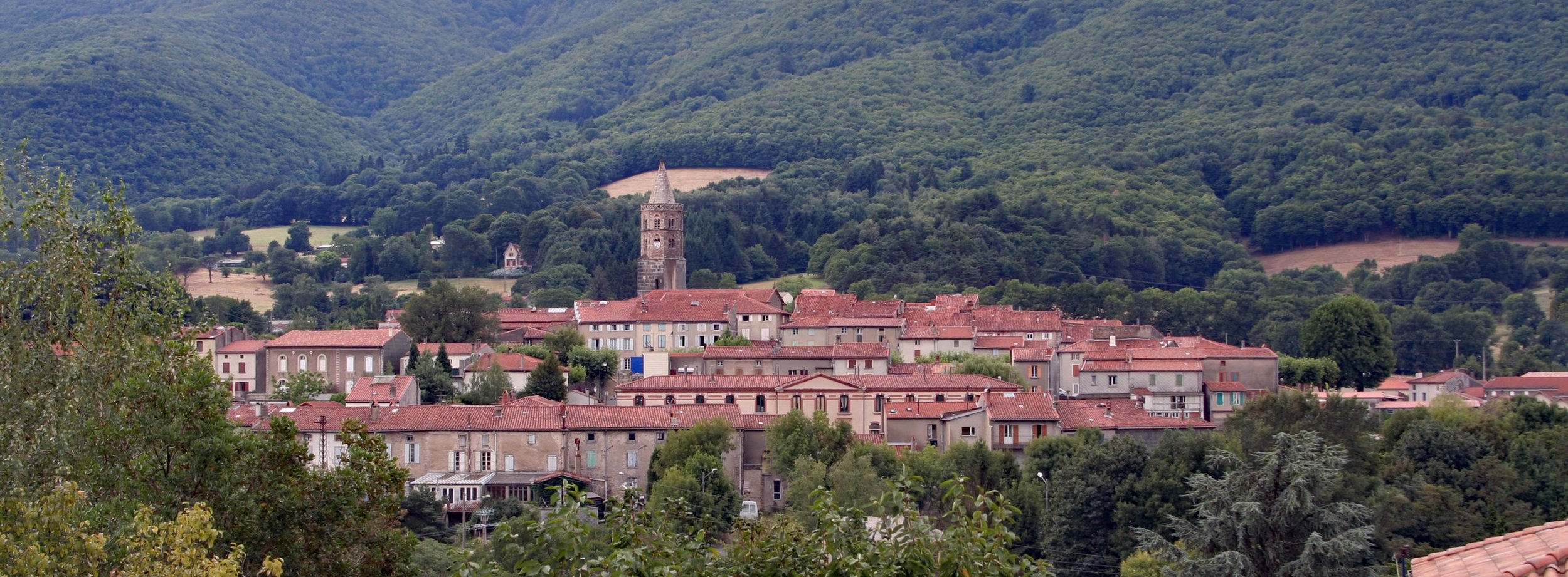 Service anti-nuisible Saint-Amans-Soult