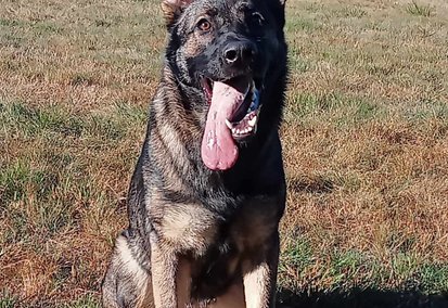 Christophe Guérin 3D - Dératisation, Désinsectisation, Désinfection - Ulka