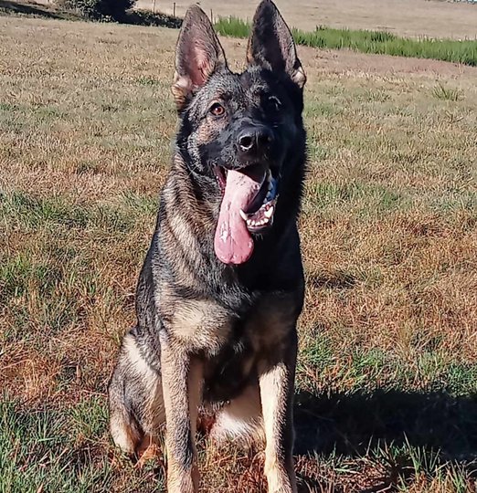 Christophe Guérin 3D - Dératisation, Désinsectisation, Désinfection - Ulka