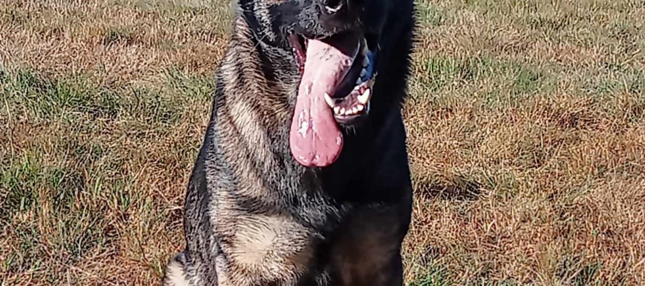 Christophe Guérin 3D - Dératisation, Désinsectisation, Désinfection - Ulka